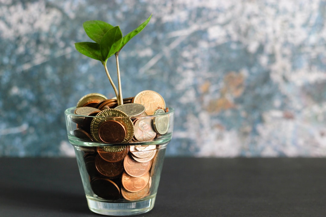 Beginner Financial Learning